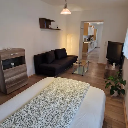 Voll Ausgestattet, Naehe Heiltherme Bad Waltersdorf Appartement