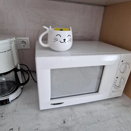 דירה Voll Ausgestattet, Naehe Heiltherme Bad Waltersdorf *