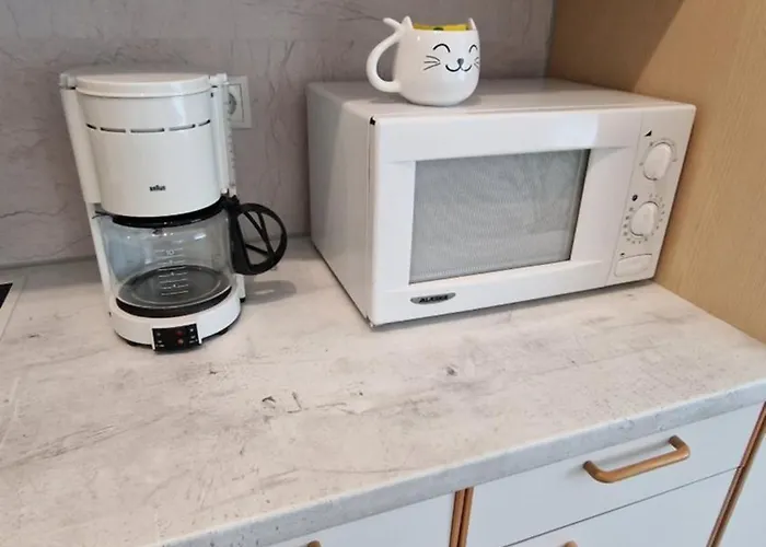 Voll Ausgestattet, Naehe Heiltherme Bad Waltersdorf شقة *