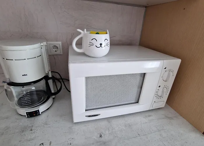 شقة Voll Ausgestattet, Naehe Heiltherme Bad Waltersdorf *